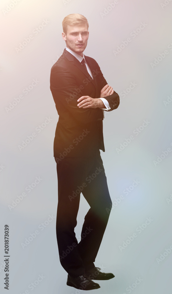 Poster portrait in full growth serious businessman.