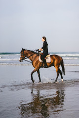 side view of young female equestrian riding horse on sandy beach