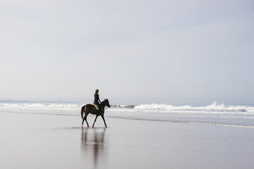 female equestrian riding horse on sandy beach