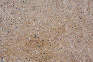 Sea shell and stone pieces texture