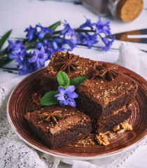 square pieces of chocolate brownie