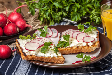 Light healthy sandwiches with bread toasts, soft cheese and freshly gathered organic radishes and parsley.
