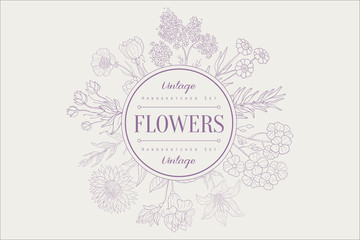 Vintage round frame with hand drawn herbs and wild flowers on background. Botanical theme. Monochrome vector design