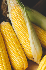Fresh corns from Vietnam
