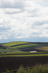 パッチワークのような畑