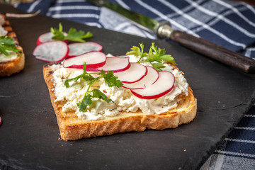 Light healthy sandwiches with bread toasts, soft cheese and freshly gathered organic radishes and parsley.