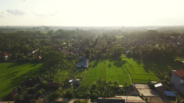 Scenic view of village and rice plantation at sunset in sunlights aerial footage