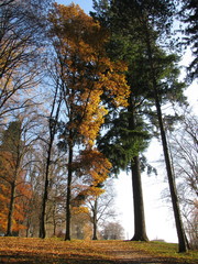 Fototapeta premium Bad Hall - Austria