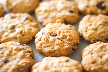 Close up rows of tasty homemade oatmeal cookies with chocolate chips. Brown oatcakes on white table, healthy sweet home-baked products - Powered by Adobe
