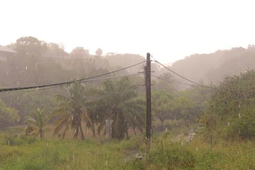 View on heavy tropical rain from balcony in Guadeloupe in the Caribbean