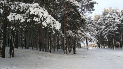 Turkey&Bulgaria 2017