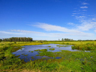 Fototapeta na wymiar Small creek, blue sky - a view of the pampa biome in Uruguaiana, Brazil