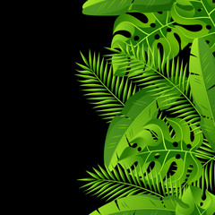 Seamless pattern with tropical palm leaves. Exotic tropical plants. Illustration of jungle nature