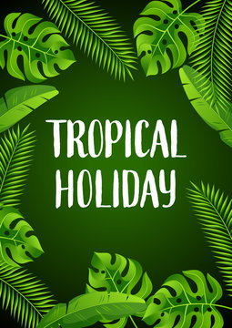 Background with tropical palm leaves. Exotic tropical plants. Illustration of jungle nature