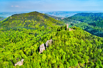 Fototapeta na wymiar Scharfenberg Castle in the Palatinate Forest. Rhineland-Palatinate, Germany