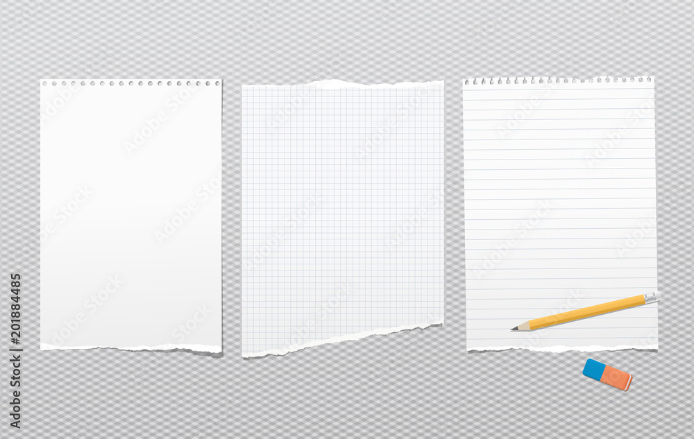 Poster pieces of torn white lined, blank note, notebook paper sheets for text stuck on squared background w