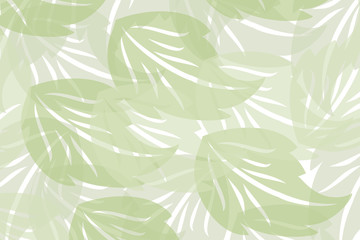 zielone liście na białym tle  - obrazy, fototapety, plakaty
