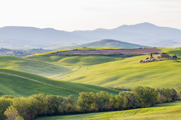 Hills and valleys in a rural Italian landscape