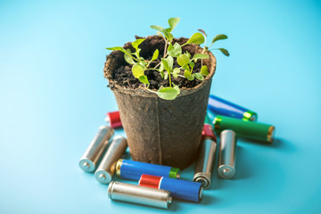 Used alkaline batteries lie with sprouted green plants. Concept of environmental pollution with toxic household waste