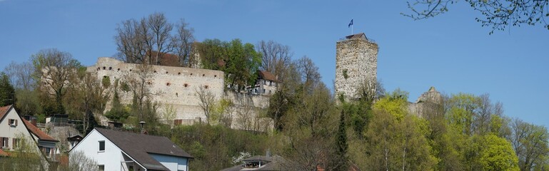 Pappenheim - Panorama der Burg