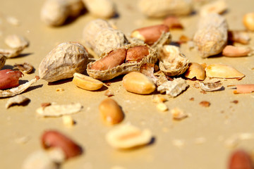 Peanuts in Shells in Pile on Table