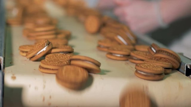 Biscuits move on a line at a plant.