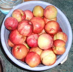 Apple's, fruits