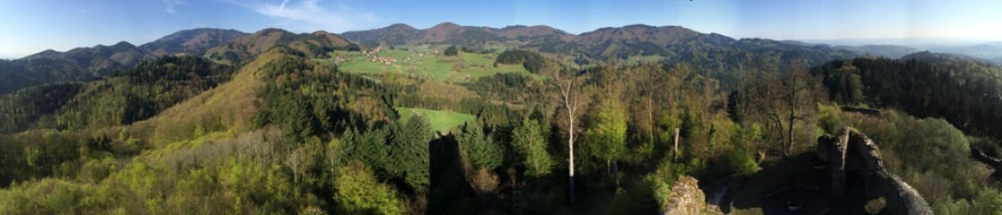 Fototapeta na wymiar Black Forest Panorama - 1