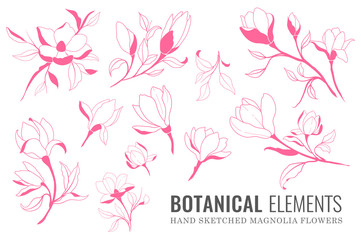 Naklejka premium Realistic Magnolia Outline Artwork