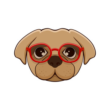 Dog with eyeglasses