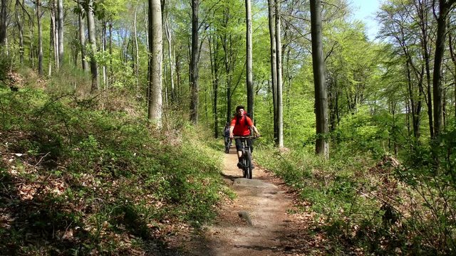 Mountainbiker im sommerlichen Wald