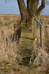 Fototapeta premium alte Holzbrücke 