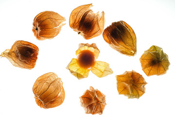 Cape gooseberry fruit , physalis isolated on white background