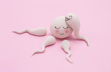 Handmade Polymer Clay Figure of Human Sperm Impregnate a Fertile Human Egg