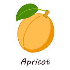 Apricot icon. Isometric illustration of apricot vector icon for web