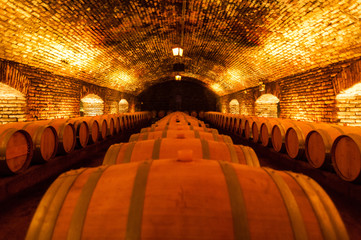 Winery - cellar image with low lighting with several barrels of wine