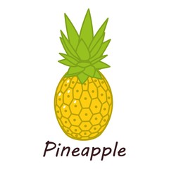 Pineapple icon. Isometric illustration of pineapple vector icon for web