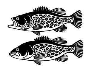 Naklejka premium bass fish
