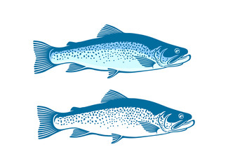 trout  fish