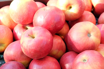 fresh apples background