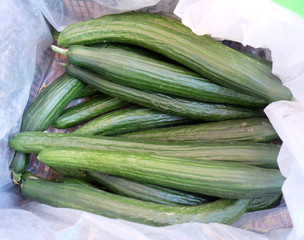 Green cucumbers in supermarket