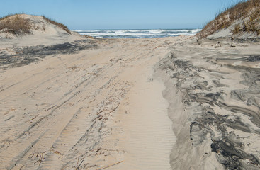 Off Road Beach Access:  A clearing for recreational vehicles passes between sand dunes and opens to the beach at Cape Hatteras National Seashore.