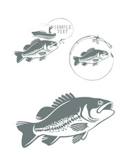 bass fish icons