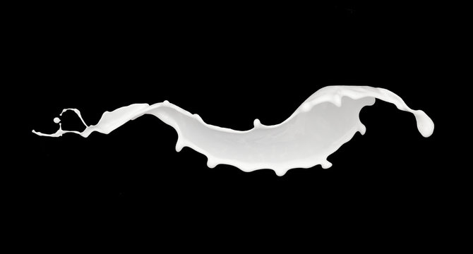 Abstract splash of milk isolated on black background