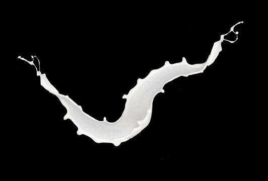 Abstract splash of milk isolated on black background