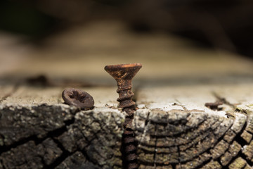 verrostete Schraube im Holz