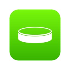 Puck icon digital green for any design isolated on white vector illustration