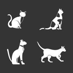 Cat icon set vector white isolated on grey background 