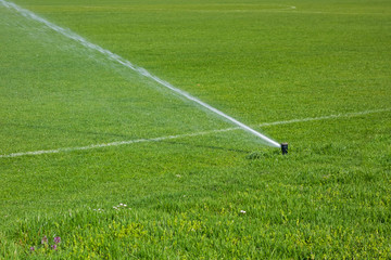 automatic irrigation system for lawns and green grass
