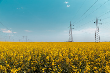 electric giants  III